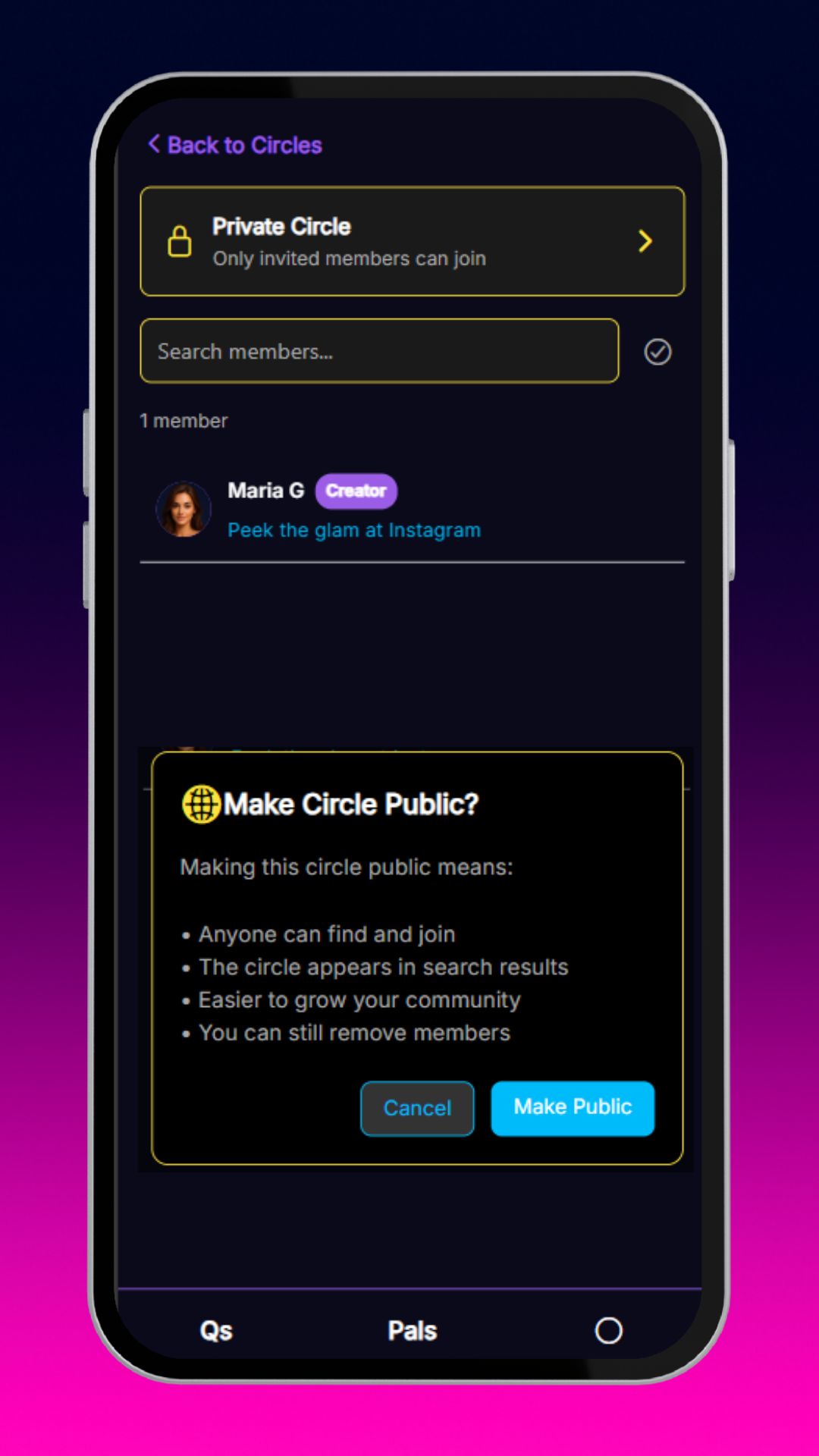 PalQs social poll app privacy settings for private or public questions